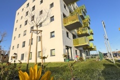 image5-1